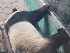 -沈阳森林动物园