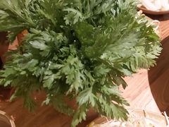 -白乐天毛肚火锅馆(解放碑店)