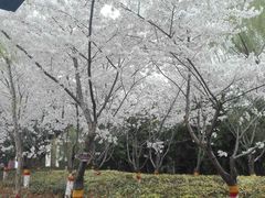 -西安汉城湖景区