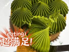 -猫里有甜