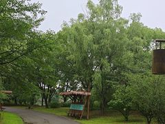 -梁鸿国家湿地公园