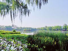 -北京国子监胡同