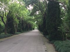 -上海崇明金茂凯悦酒店