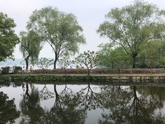 -西湖外事游船(花港观鱼码头)