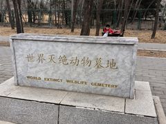 -北京麋鹿生态实验中心