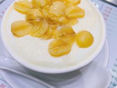 莲子双皮奶冻-义顺牛奶公司(新马路老店)