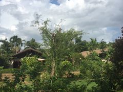 -椰树岛海滩度假村