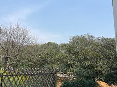 -太湖好灶头土菜馆(石公路店)
