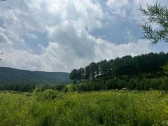 -塞罕坝国家级自然保护区