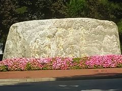 -北京国家会计学院