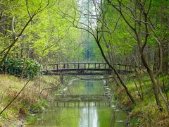 -黄海国家森林公园