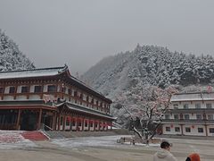 -秦岭天竺山生态文化旅游景区