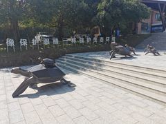 -广东惠东海龟国家级自然保护区