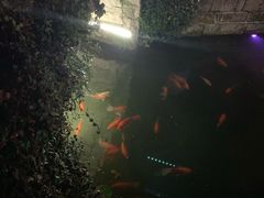 -黎阳老街