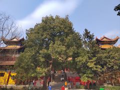 -宝通禅寺