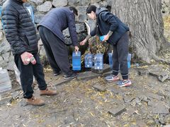 -阳台山自然风景区