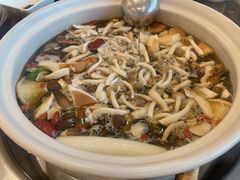 -珍品轩鲜菌火锅(眉山店)