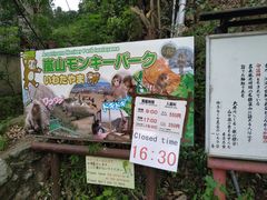 -岚山猴子公园