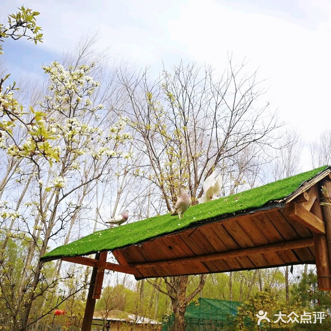 亲近大自然🌾亲近小动物🐘【遛娃必去】