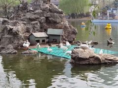 -团结湖公园