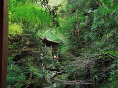 -藏龙百瀑风景区