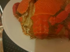 -天伦松鹤大饭店·欣妮咖啡
