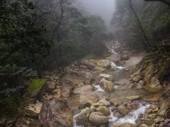-大鄣山卧龙谷景区