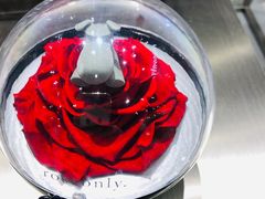 -ROSEONLY诺誓(青岛万象城店)