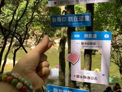 -大鄣山卧龙谷景区