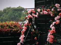 -庐灶江南·江南菜·四合院Bistro(东直门雍和宫·原华侨宾馆店)