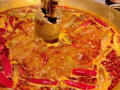 -小龙翻大江文化火锅(宽窄店)