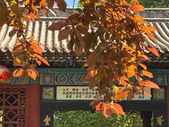 -大槐树寻根祭祖园