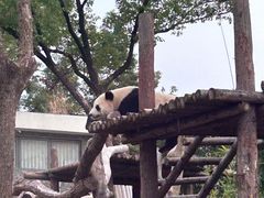-武汉动物园