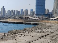 -星海广场
