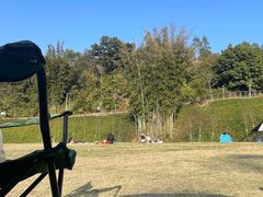 -黄埔油麻山森林公园