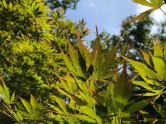 -上海市保健医疗中心