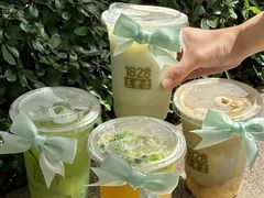 -1828王老吉·草本新茶(珠江新城地铁站店)