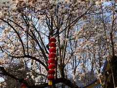 -杭州上天竺法喜讲寺