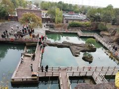 -蛇蟠岛