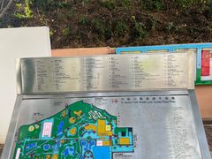 -九龙公园