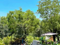 -Supine Bistro溯泮餐厅