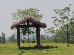 -良渚古城遗址公园