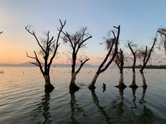 -捞渔河湿地公园