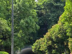 -福建鲤鱼洲酒店