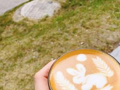 超可愛的兔子-喜柿咖啡SeeS coffee