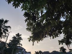 -重庆海昌加勒比海水世界