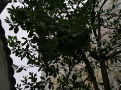 -雅鲁激流探险漂流