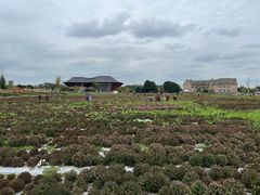 -中国天府农业博览园