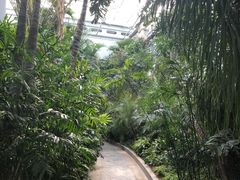 -郑州植物园