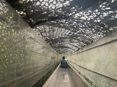 -秦岭终南山世界地质公园翠华山景区